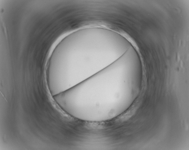 X0000085301104200703231852