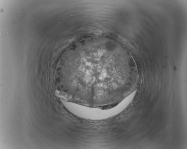 X0000085301105200703231851