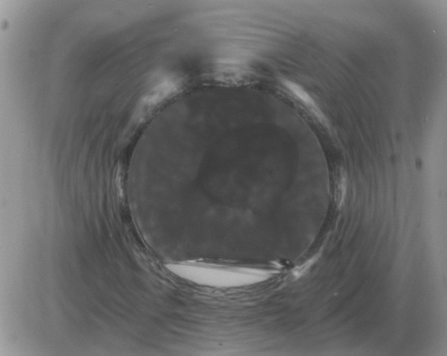 X0000085301106200703231851