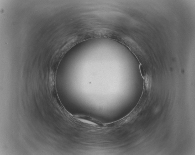 X0000085301107200703231851