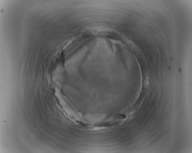 X0000085301108200703231851