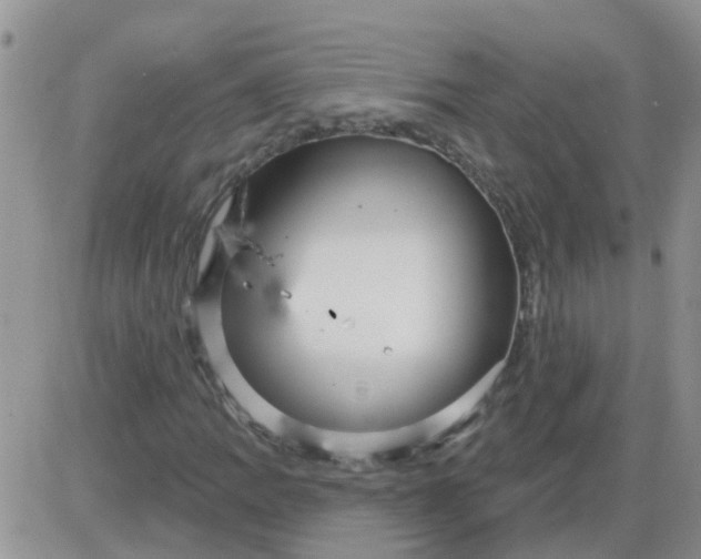 X0000085301109200703231851