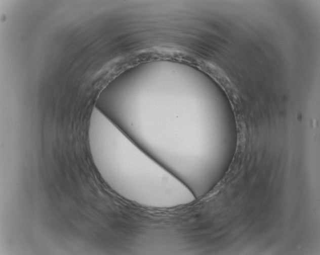 X0000085301110200703231851