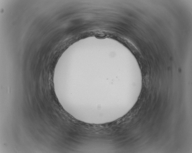 X0000085301111200703231851