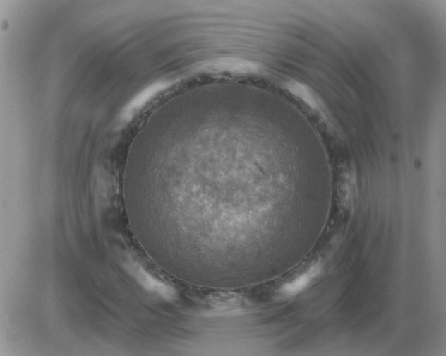 X0000085301112200703231851