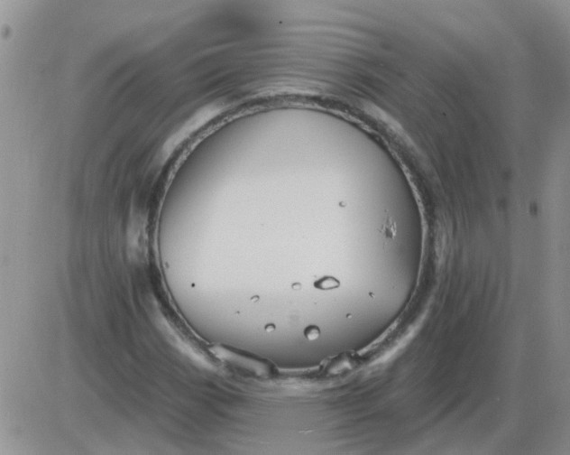 X0000085301113200703231851