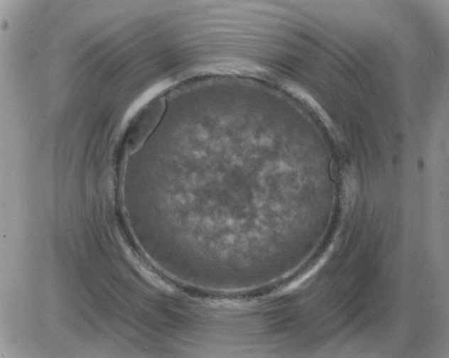 X0000085301114200703231851