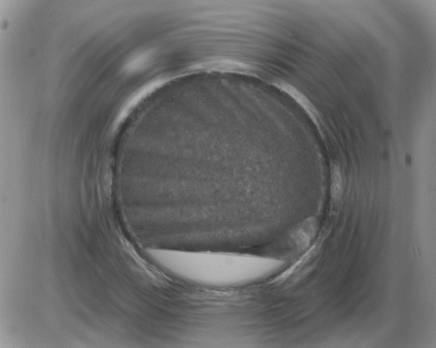 X0000085301115200703231851