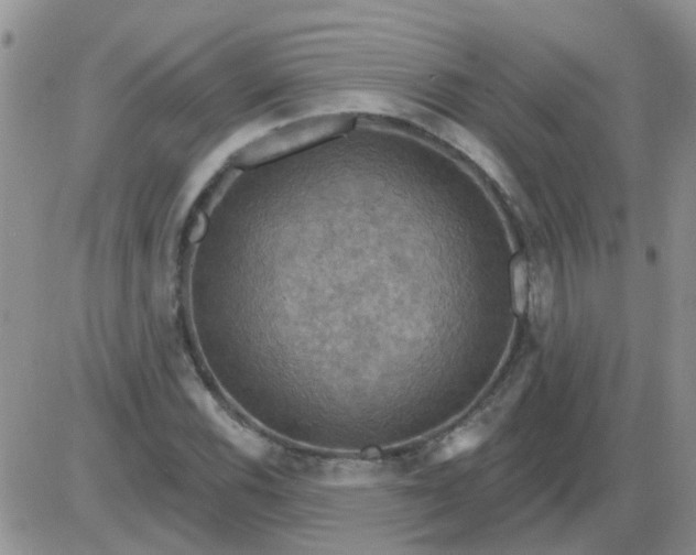 X0000085301116200703231851