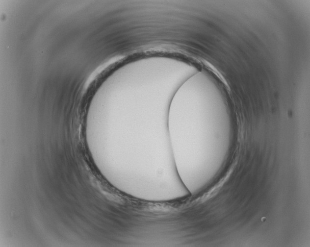 X0000085301117200703231851