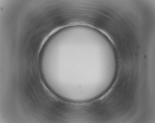 X0000085301118200703231851