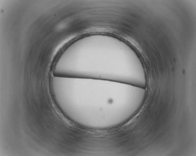 X0000085301119200703231851