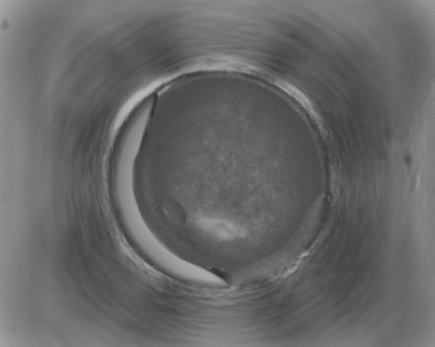 X0000085301120200703231851