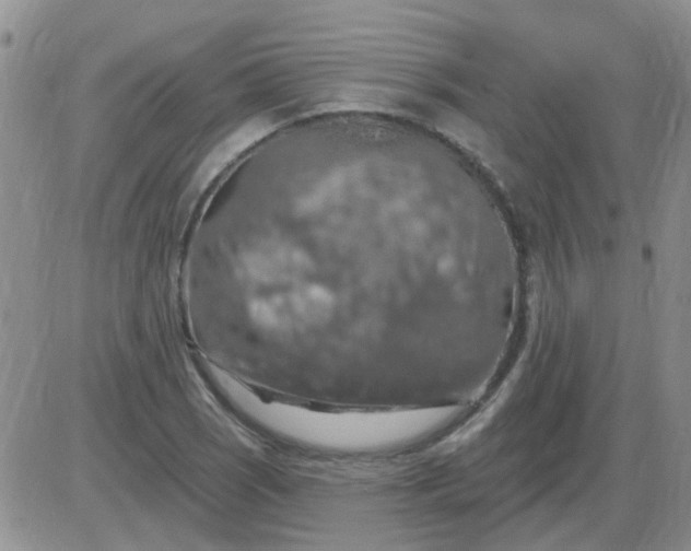 X0000085301121200703231851