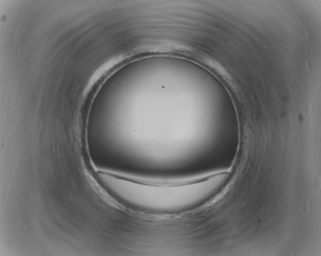 X0000085301122200703231851