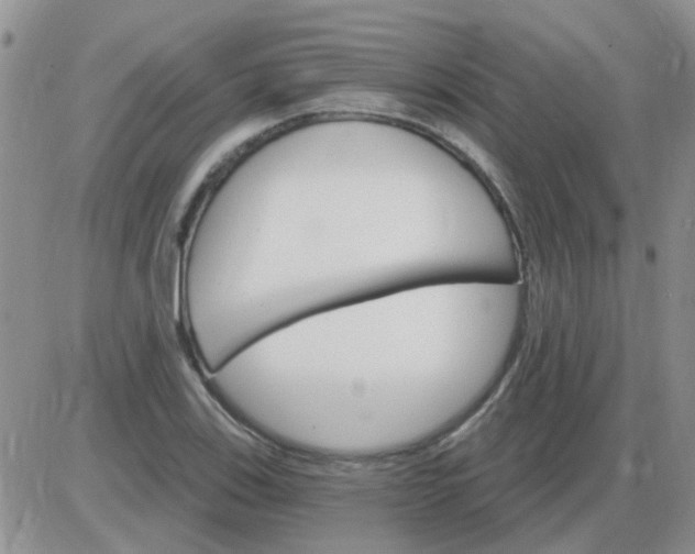 X0000085301123200703231851