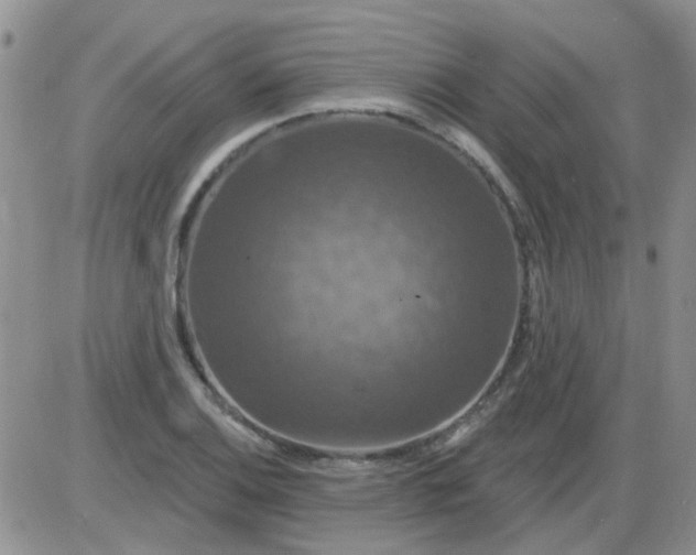 X0000085301124200703231851