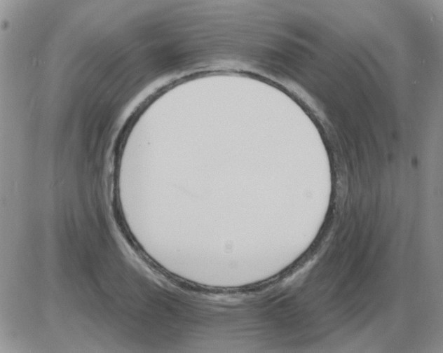 X0000085301126200703231851