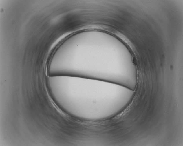 X0000085301127200703231851