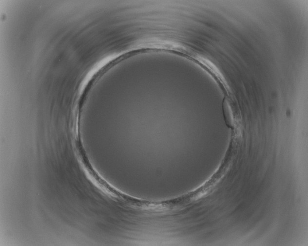 X0000085301128200703231851