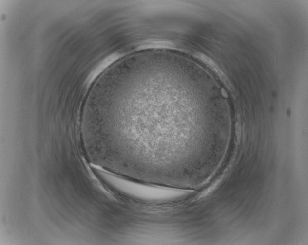 X0000085301129200703231851