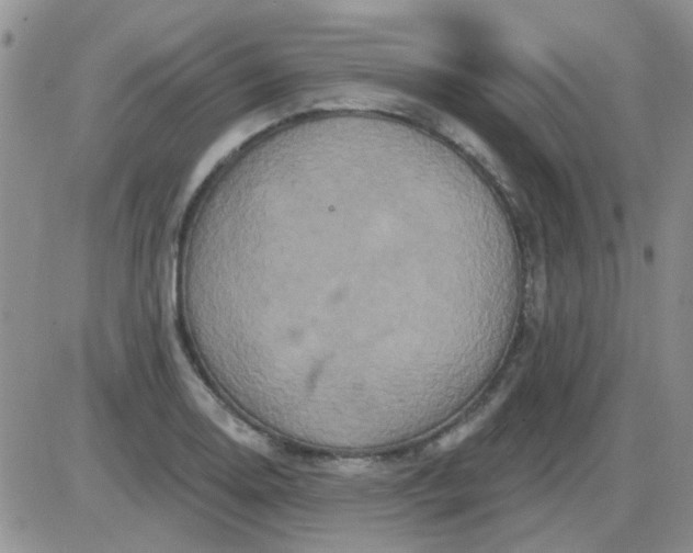 X0000085301130200703231851