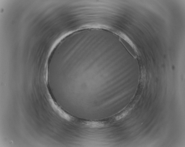 X0000085301132200703231851