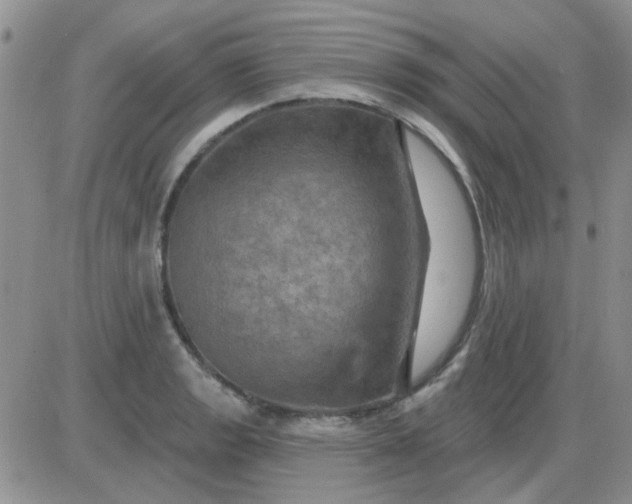 X0000085301133200703231851