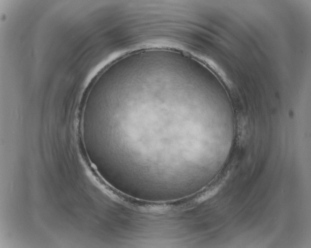 X0000085301134200703231851