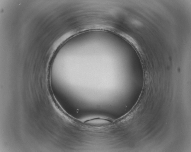 X0000085301135200703231851