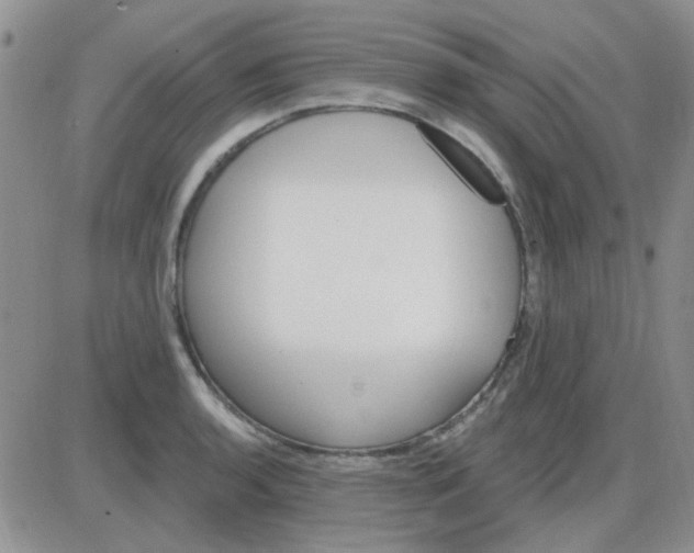 X0000085301136200703231851