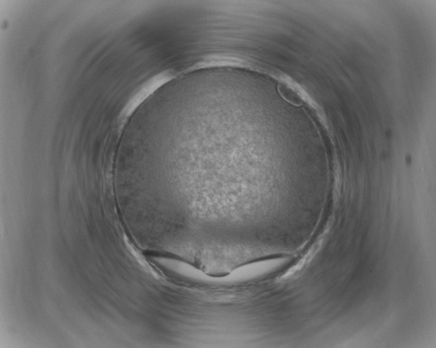 X0000085301137200703231851