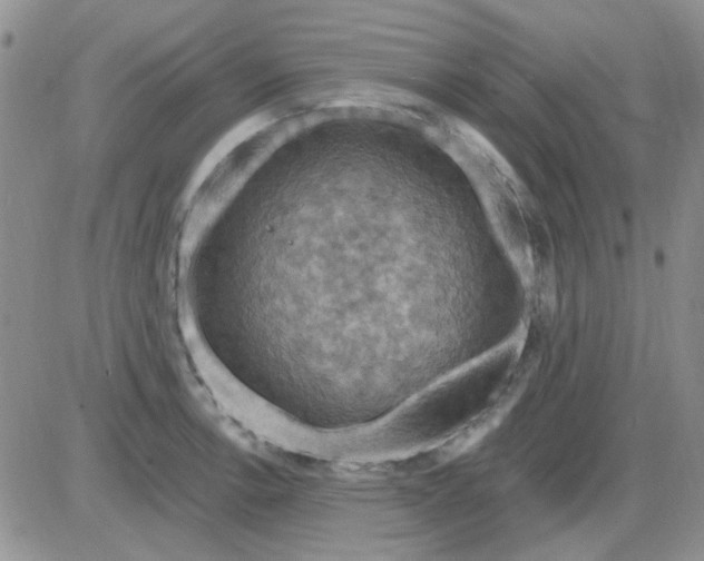 X0000085301138200703231851