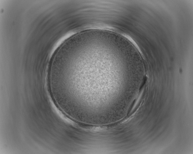 X0000085301139200703231851