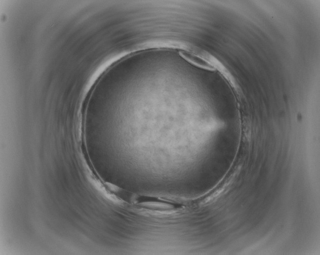 X0000085301140200703231851