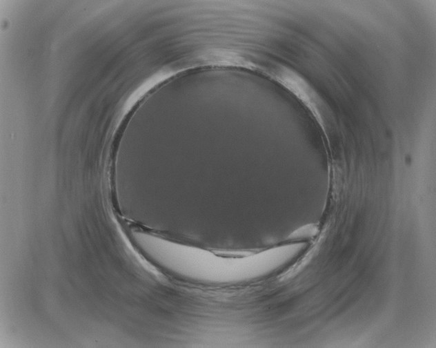 X0000085301141200703231851