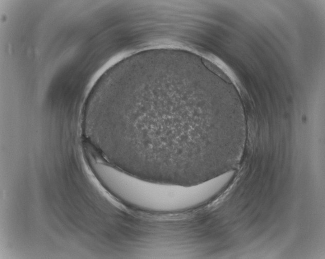 X0000085301142200703231851