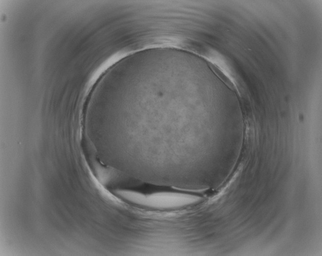 X0000085301143200703231852