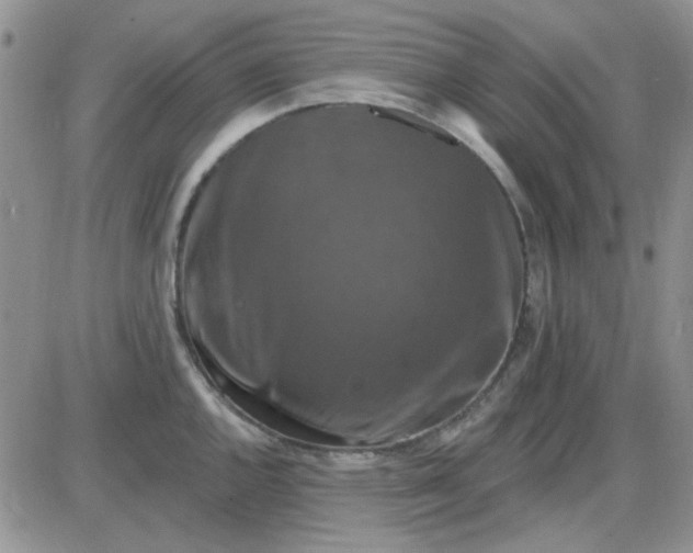 X0000085301144200703231852