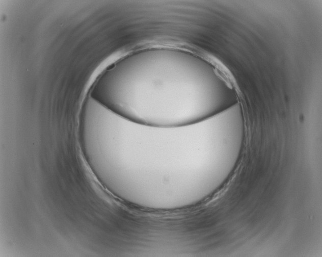 X0000085301146200703231852