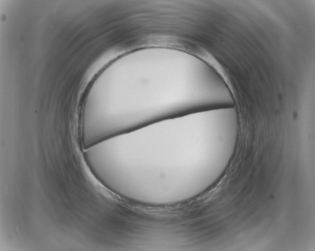 X0000085301147200703231852