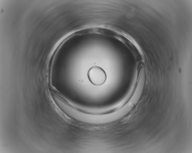 X0000085301148200703231852