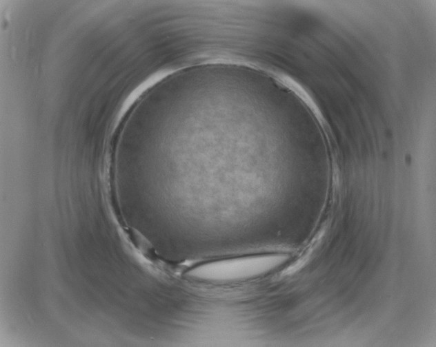 X0000085301149200703231852