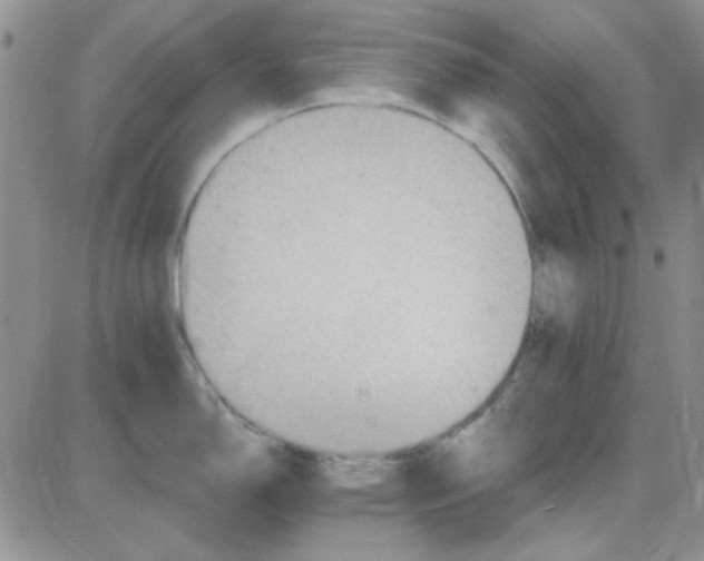 X0000085301150200703231852