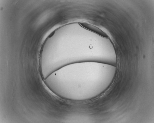 X0000085301151200703231852