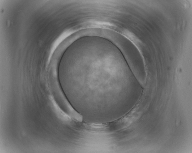 X0000085301152200703231852