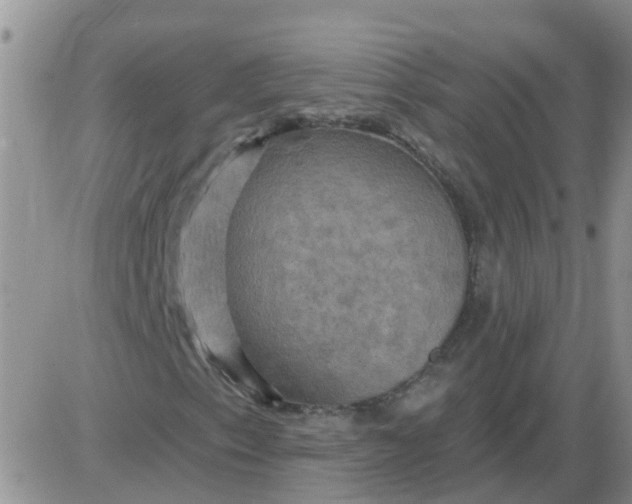 X0000085301153200703231851