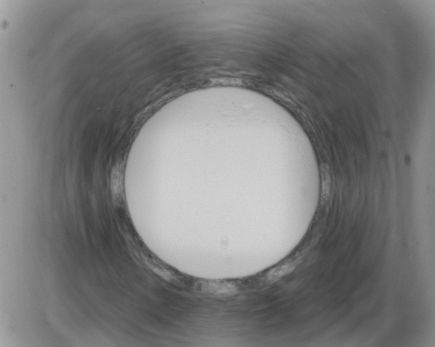 X0000085301154200703231851