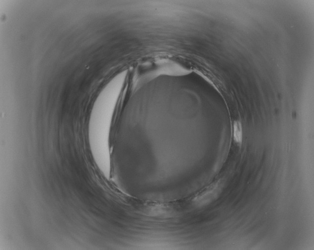 X0000085301155200703231851