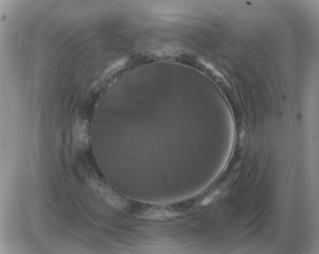 X0000085301156200703231851